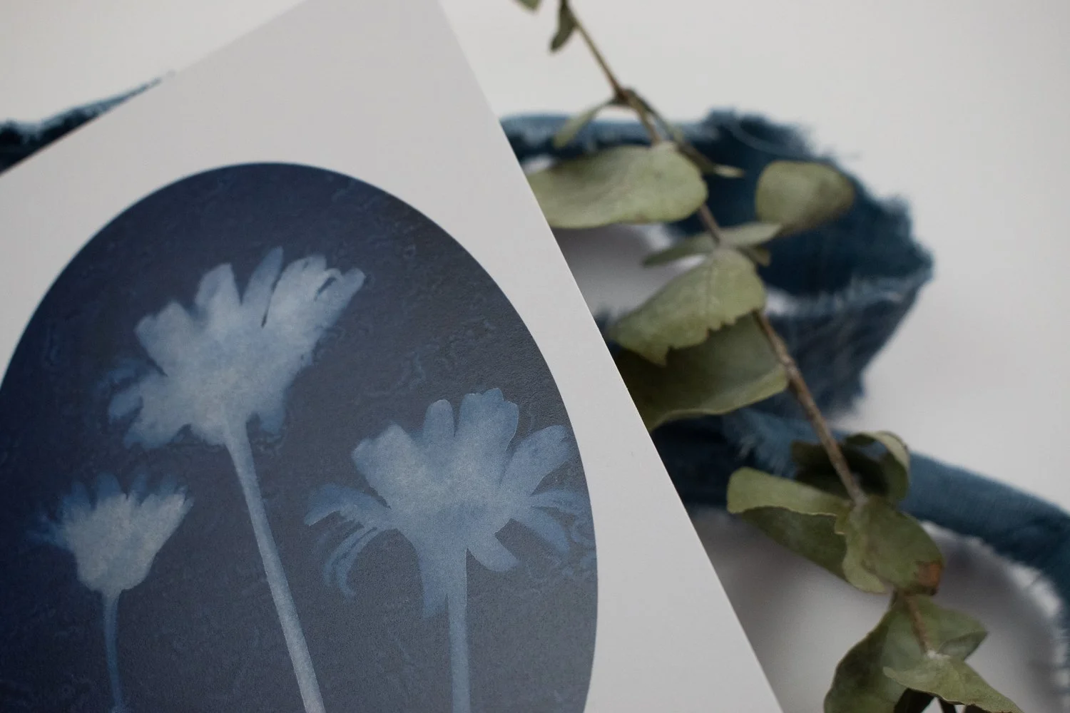 Cyanotype daisy card by Jackie Partridge