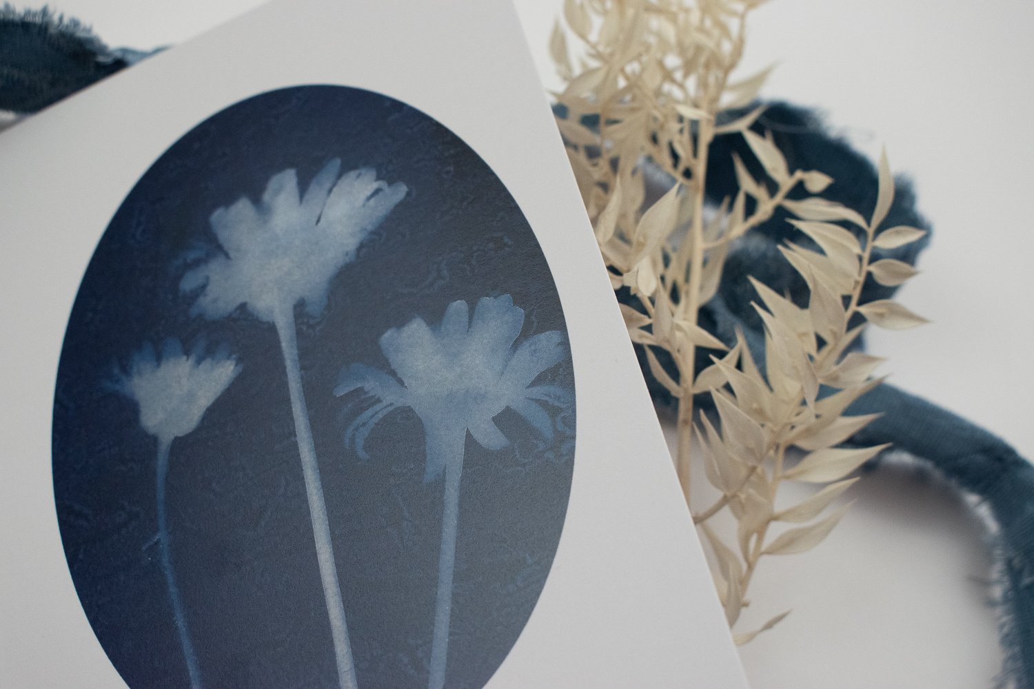 Cyanotype daisy card by Jackie Partridge
