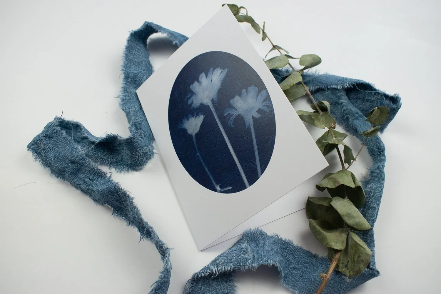 Cyanotype daisy card by Jackie Partridge