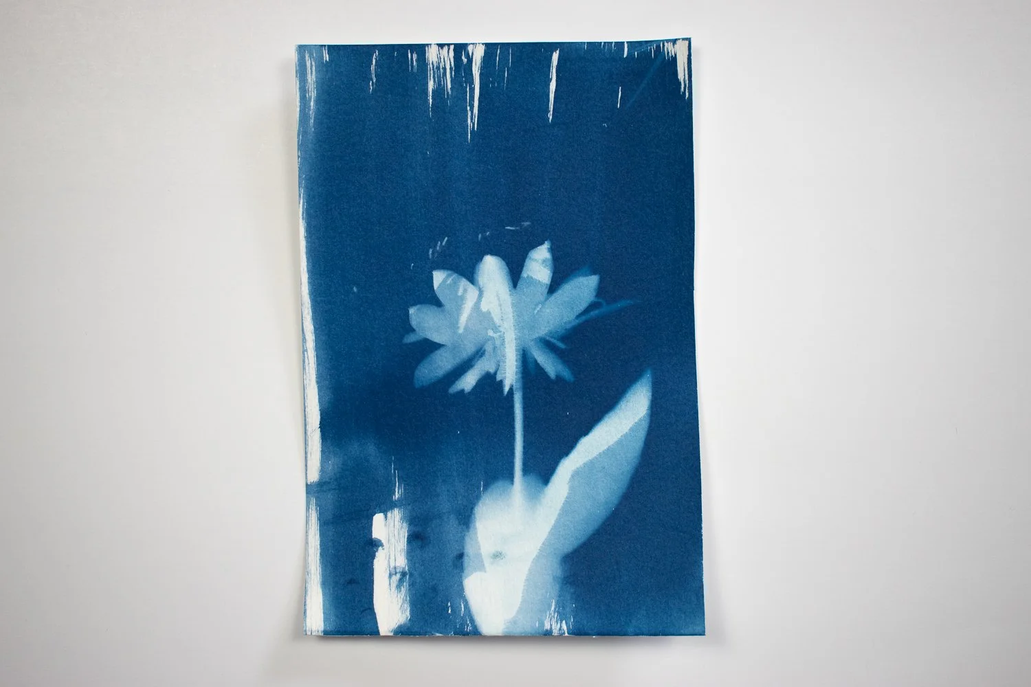DSC_0136.jpg