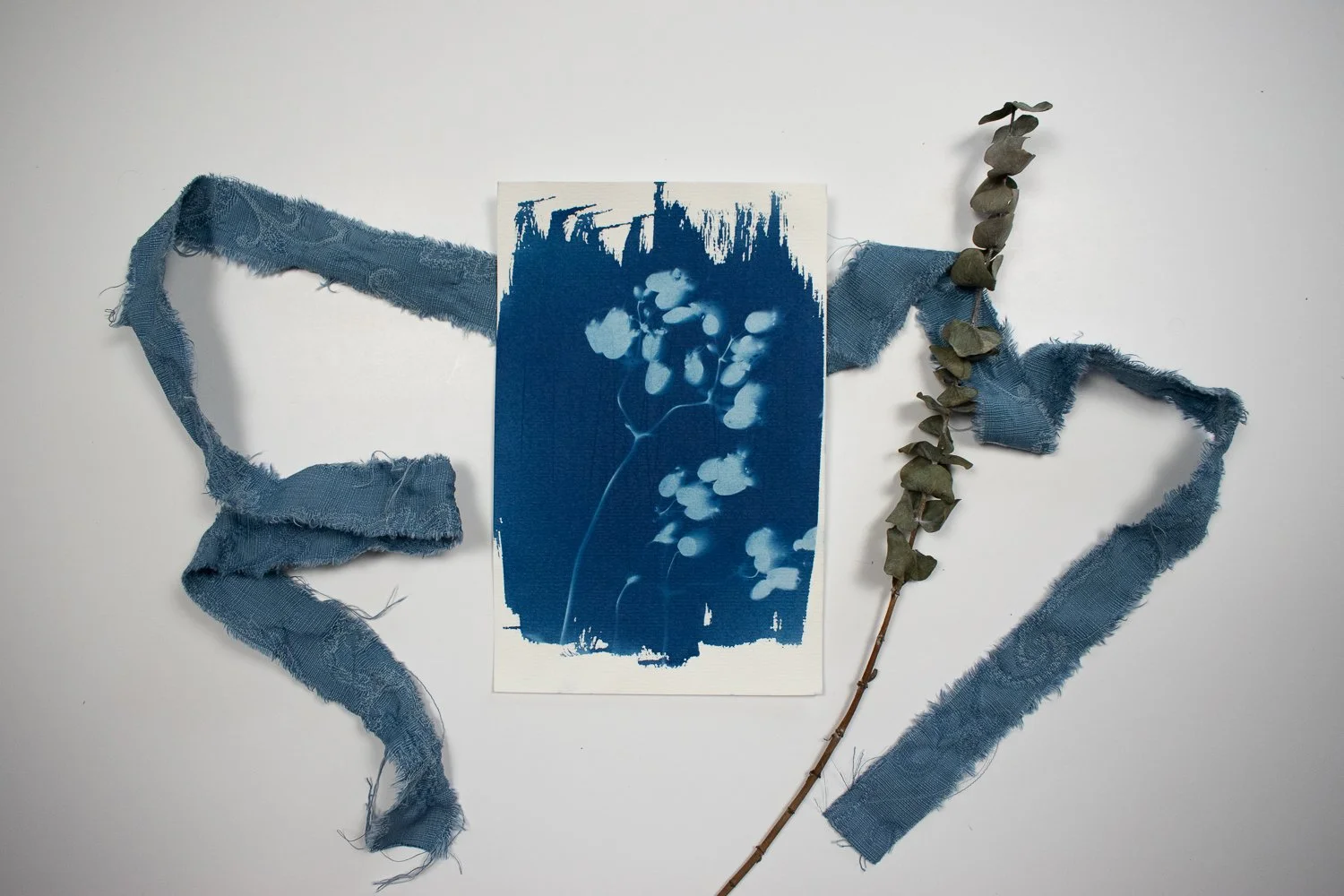 jackie-partridge-cyanotype-3.jpg
