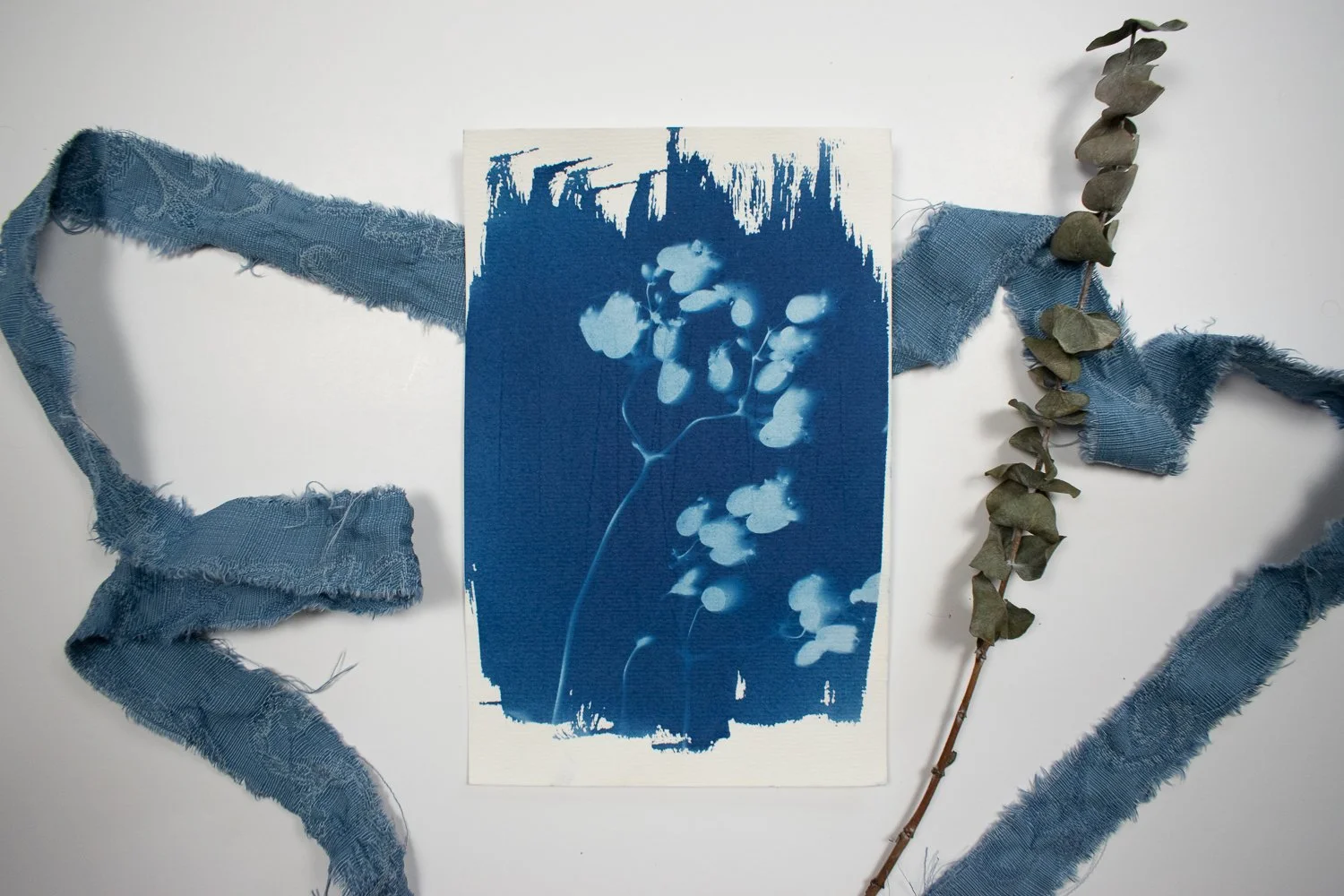 jackie-partridge-cyanotype-5.jpg