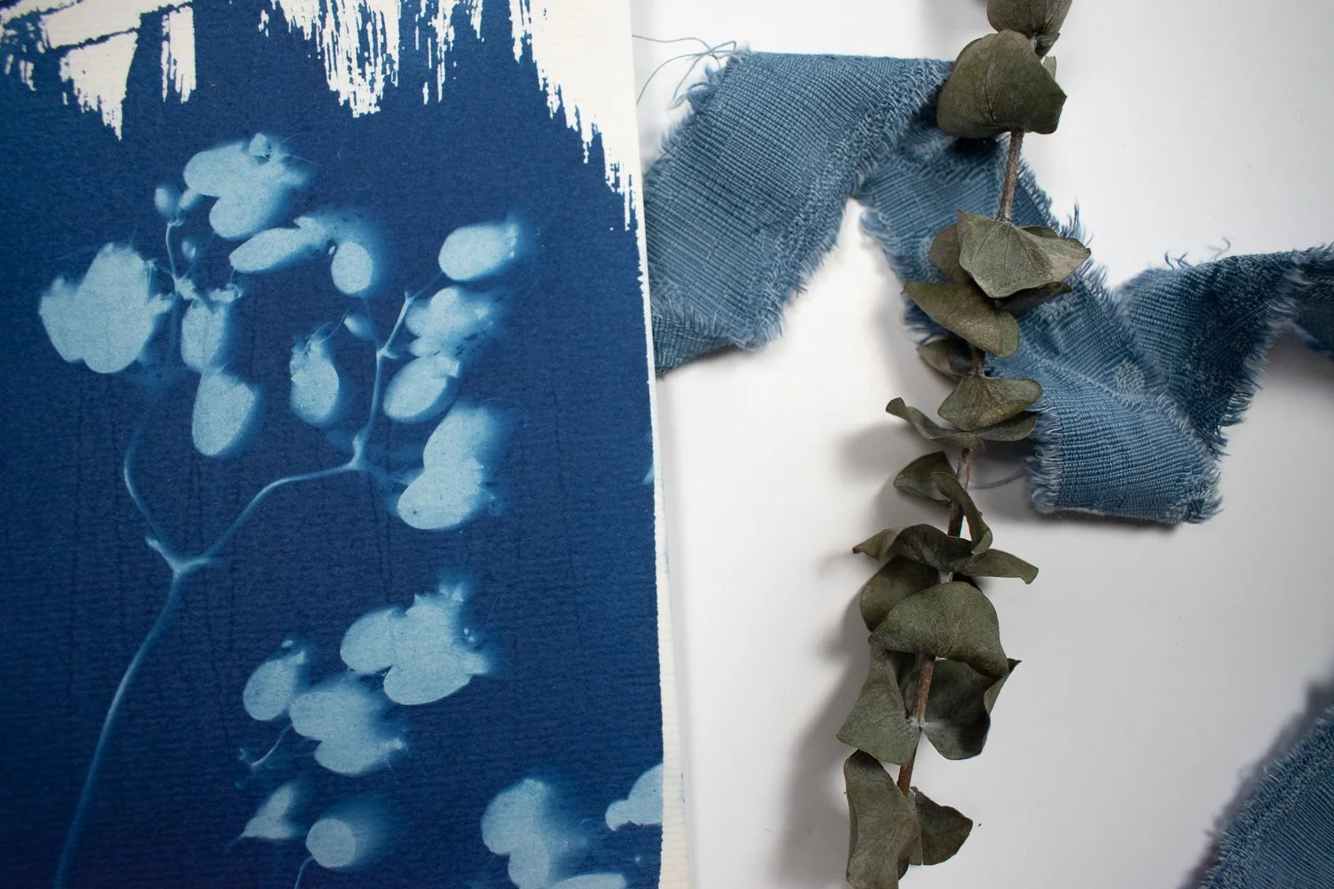 jackie-partridge-cyanotype-8.jpg