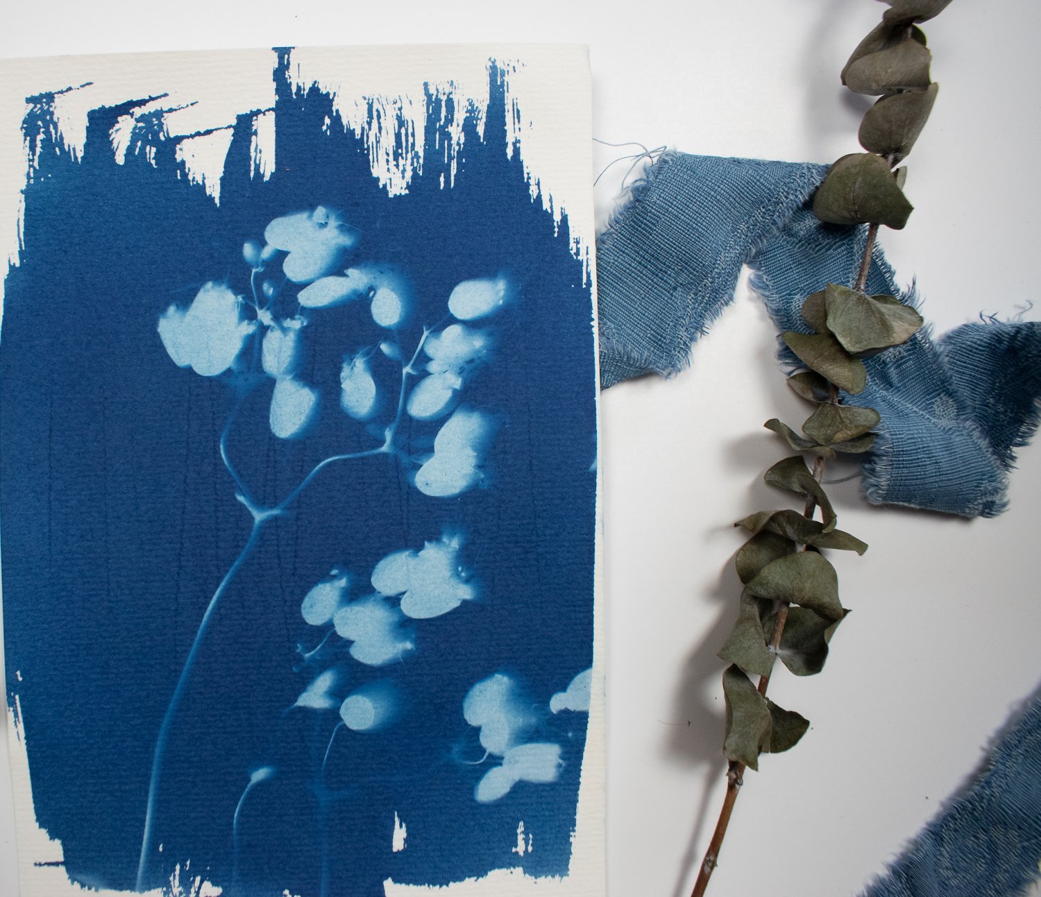 jackie-partridge-cyanotype-7.jpg