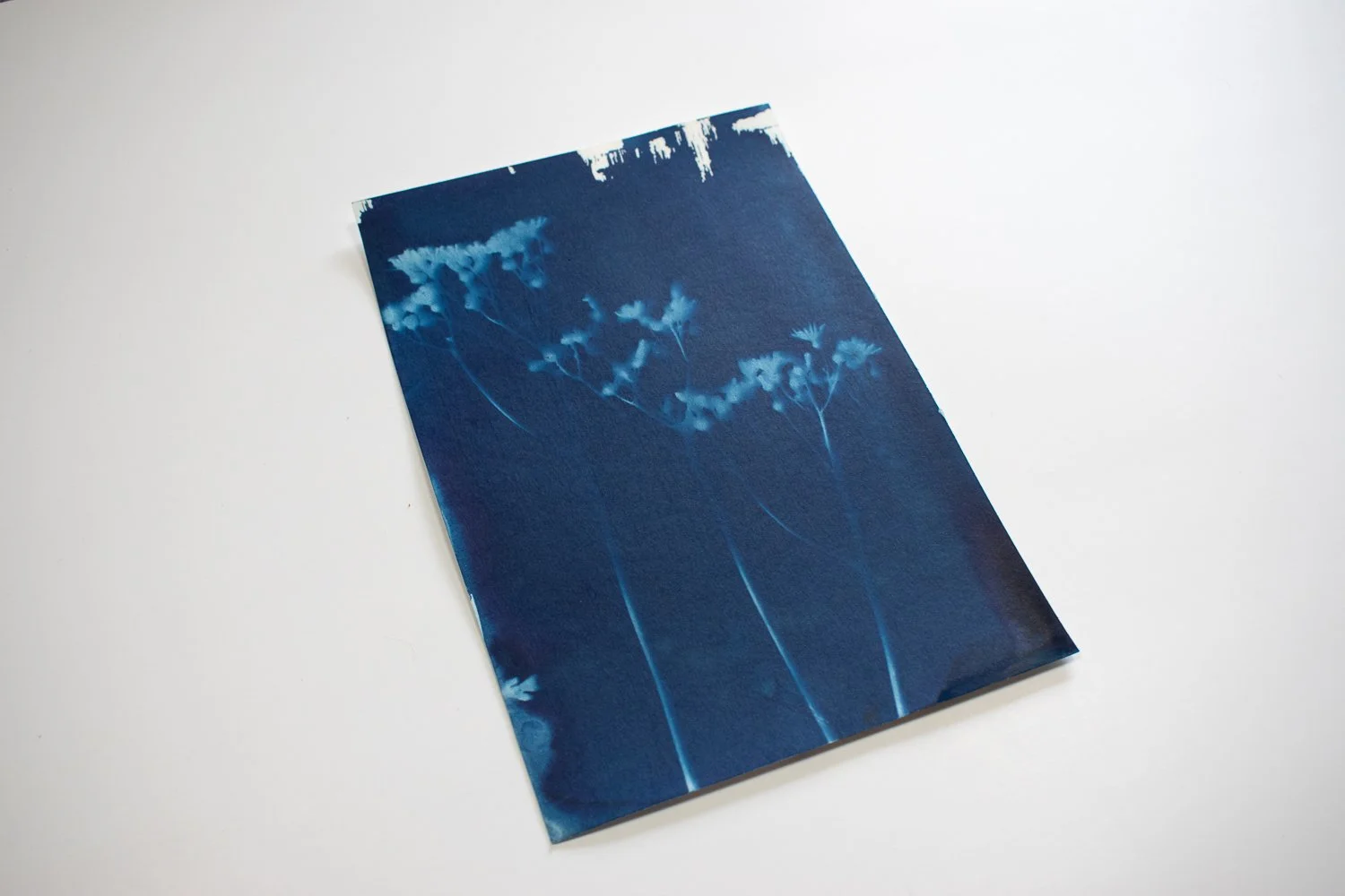jackie-partridge-cyanotypes-12.jpg