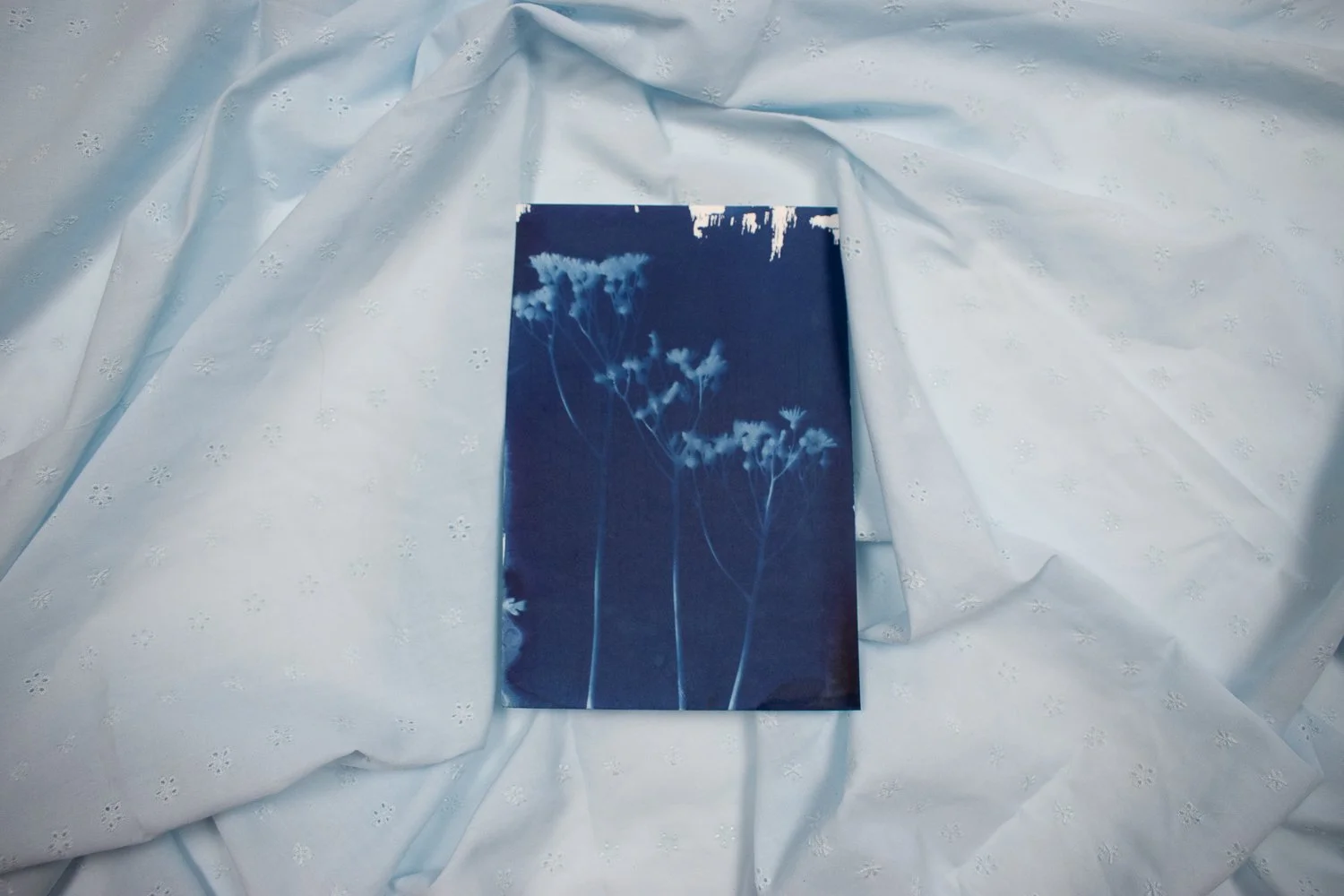 jackie-partridge-cyanotypes-7.jpg
