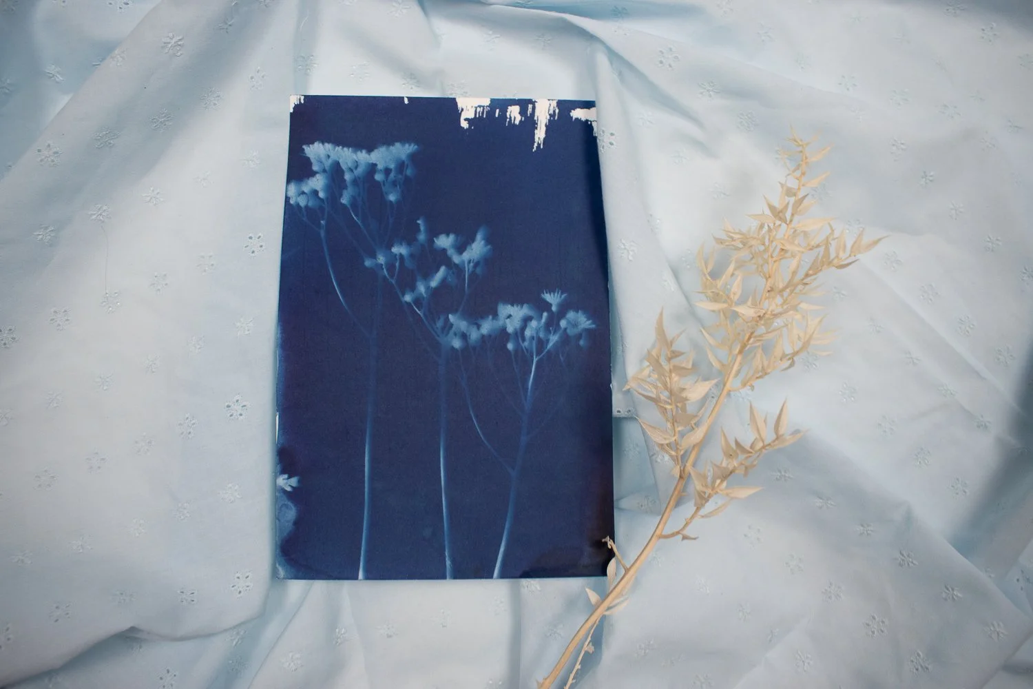 jackie-partridge-cyanotypes-8.jpg