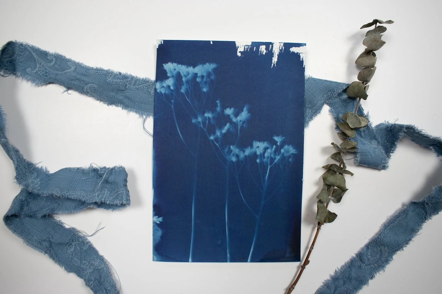 jackie-partridge-cyanotypes-4.jpg