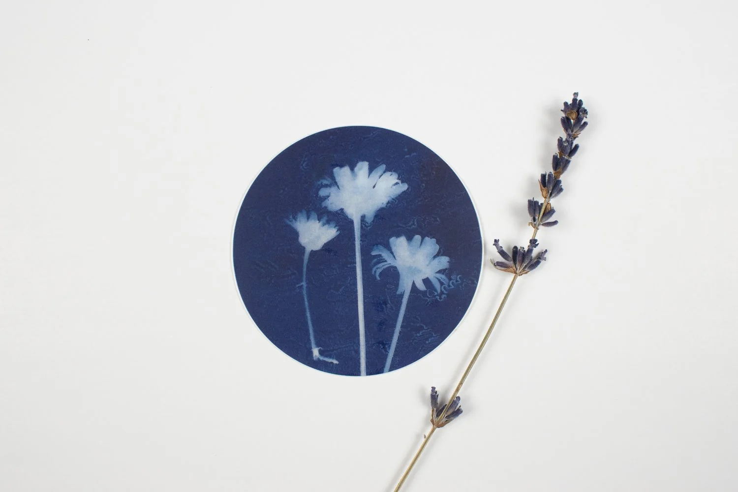 round daisy sticker
