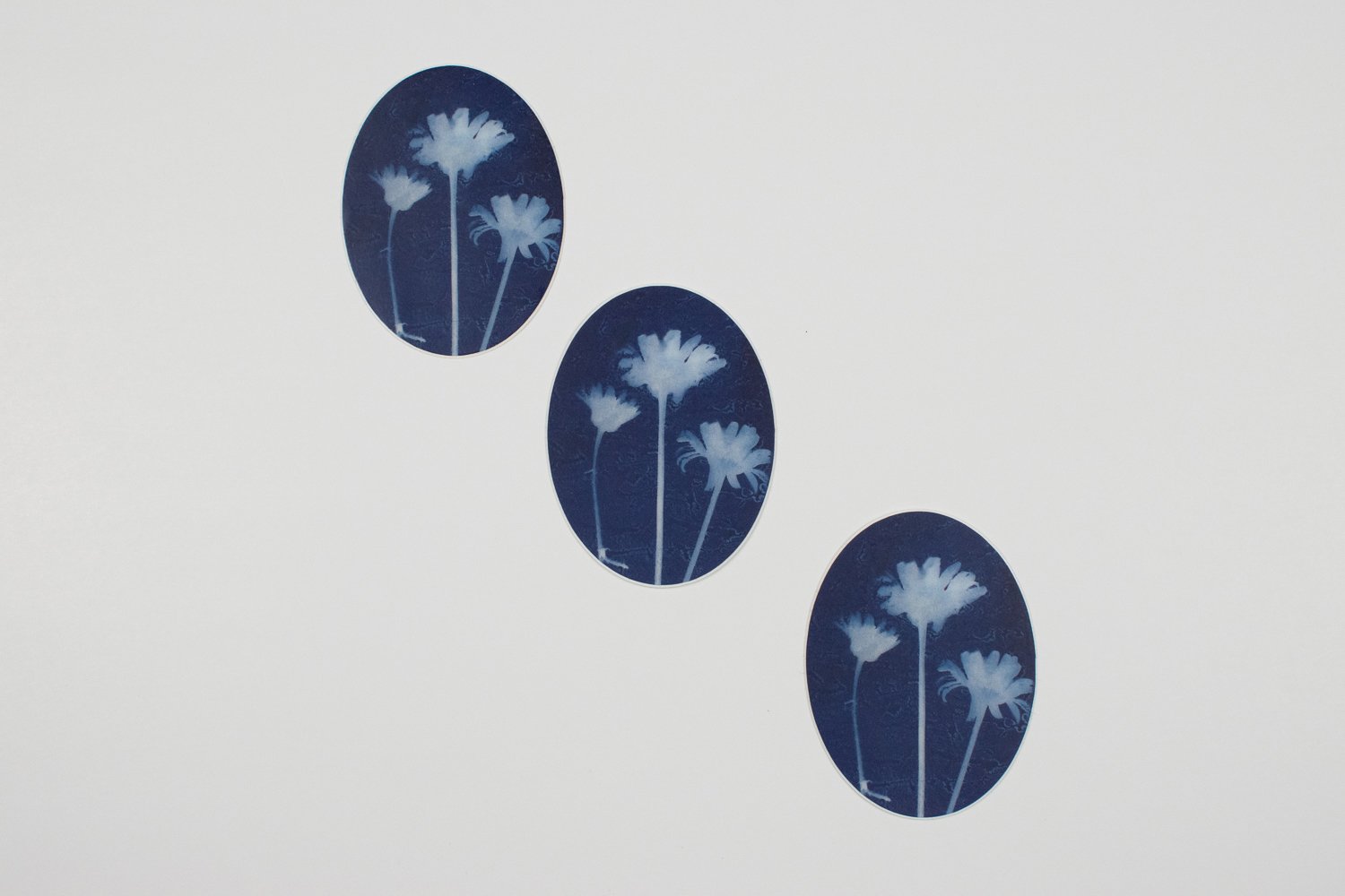 oval daisy stickers
