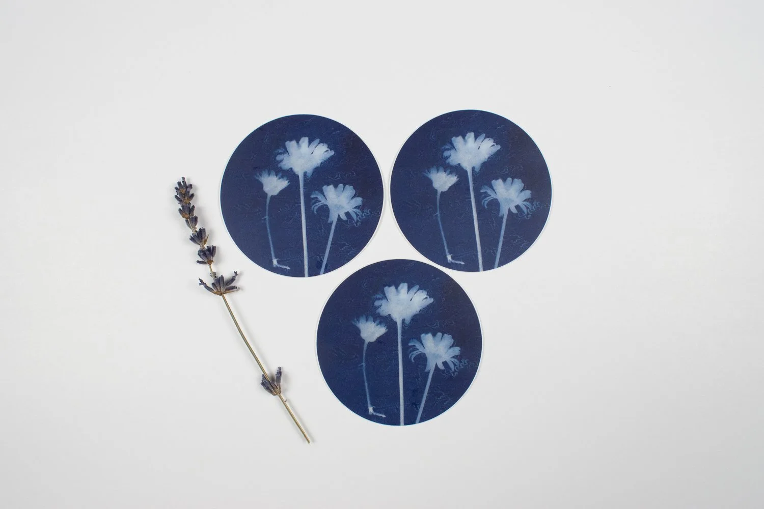 circle daisy stickers