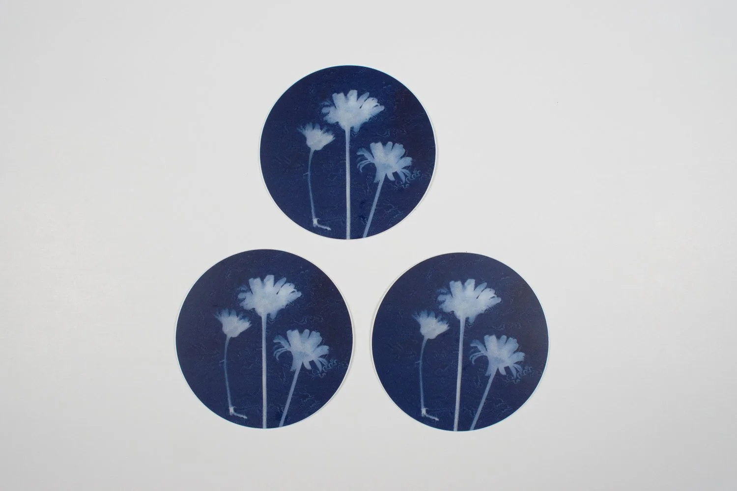 blue and white daisy stickers
