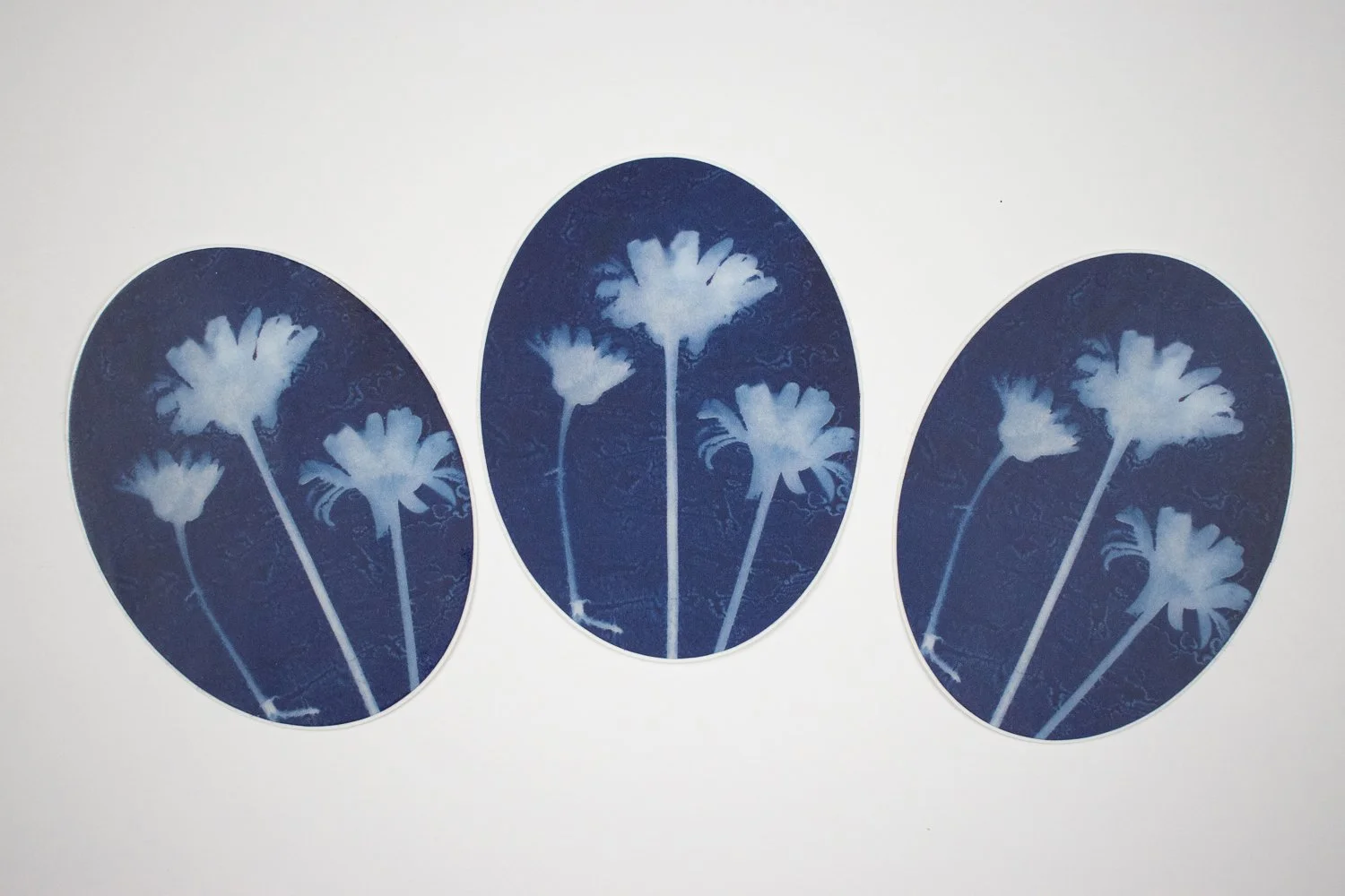 daisy stickers