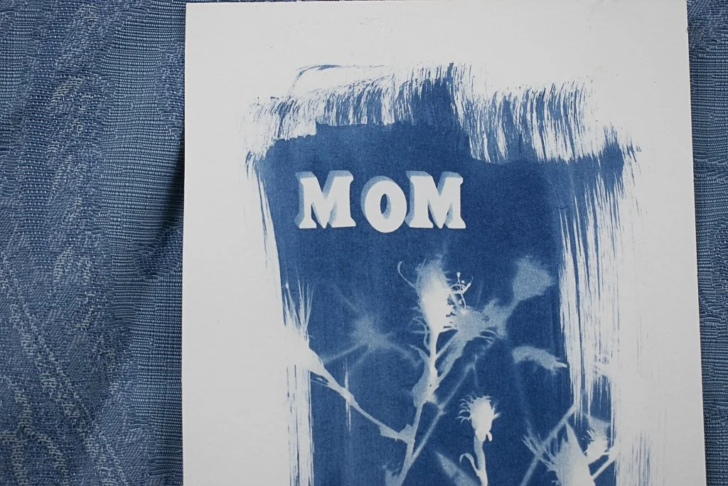 Cyanotype-jackie-partridge-189.jpg