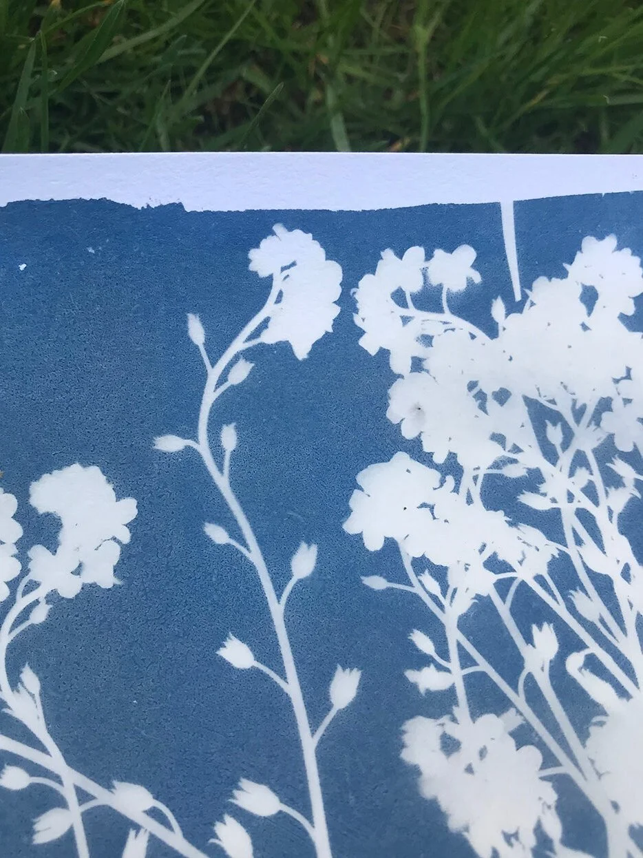 How to Make Cyanotypes — Jackie Partridge