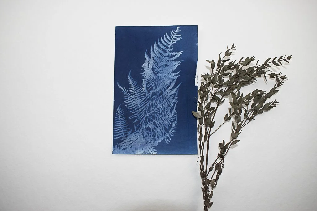 Cyanotype-jackie-partridge-039.jpg