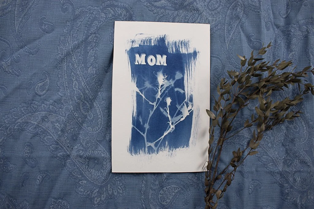 Cyanotype-jackie-partridge-190.jpg