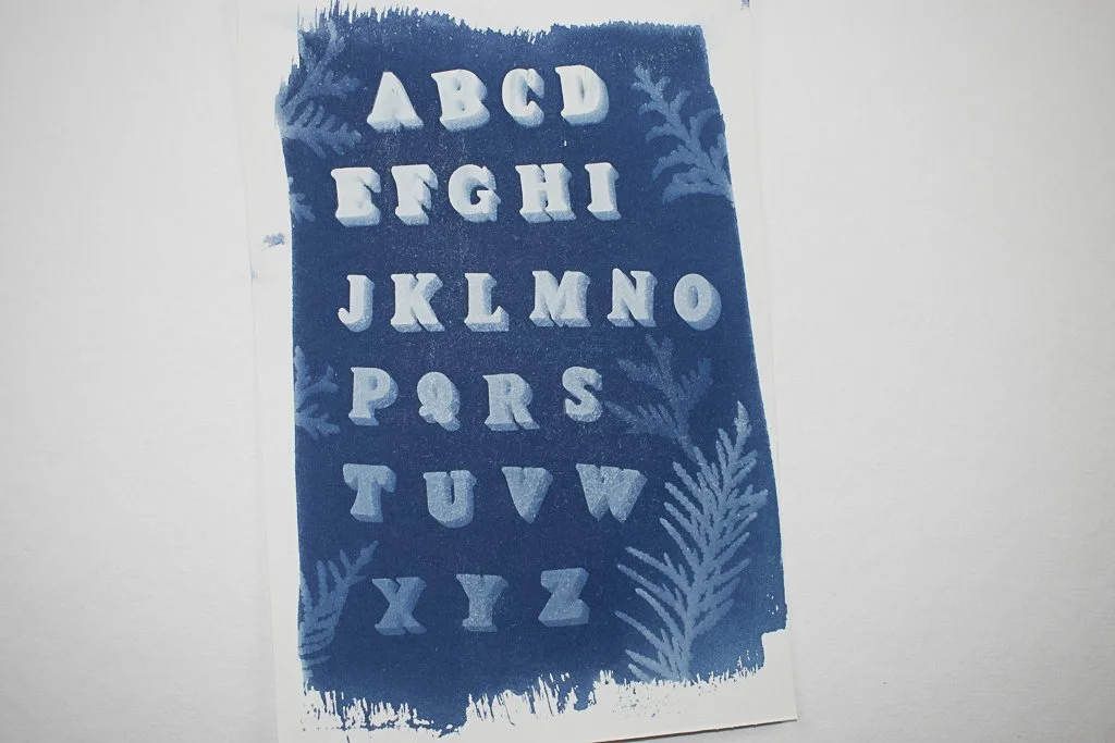 alphabet in text as a cyanotype with cedar leaves
