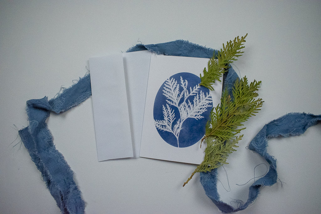 Cedar blue and white cards by jackie partridge