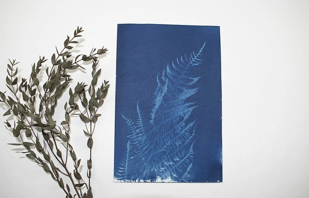 Cyanotype-jackie-partridge-022.jpg