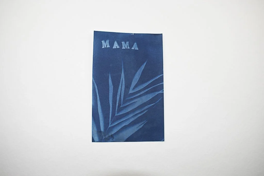 Cyanotype-jackie-partridge-244.jpg