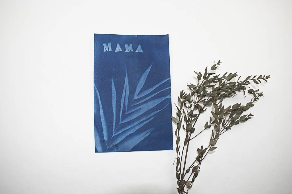 commissioned cyanotype art by jackie partridge