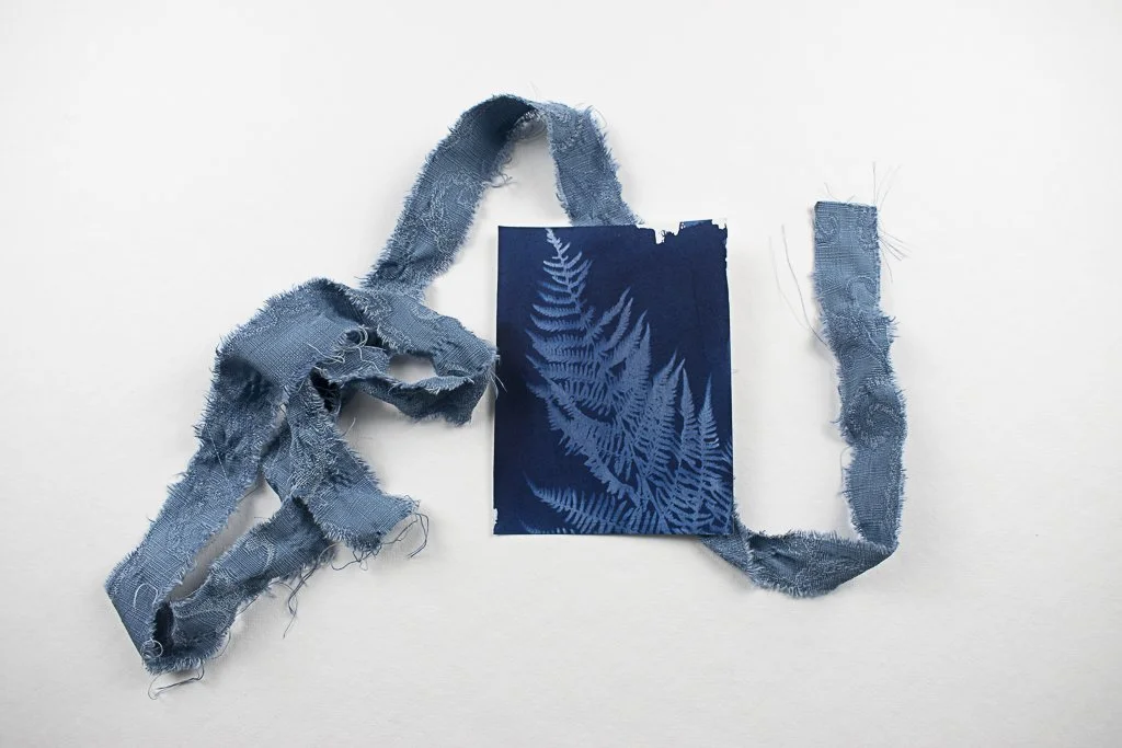 Cyanotype-jackie-partridge-080.jpg