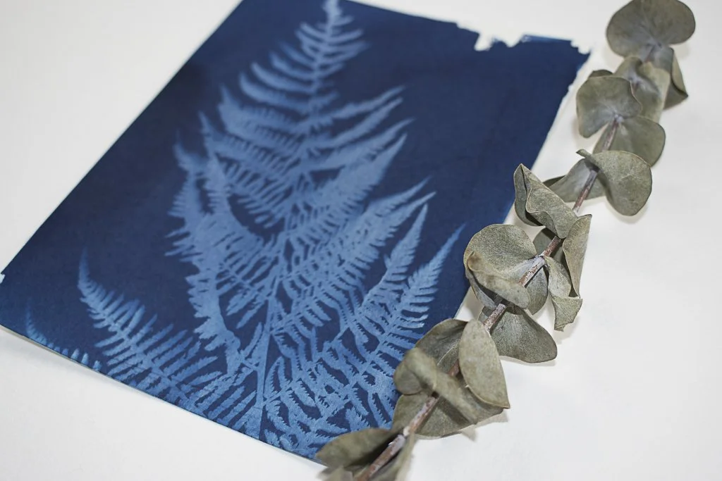 Cyanotype-jackie-partridge-079.jpg