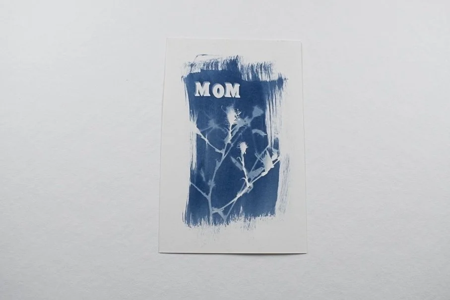 Cyanotype-jackie-partridge-183.jpg