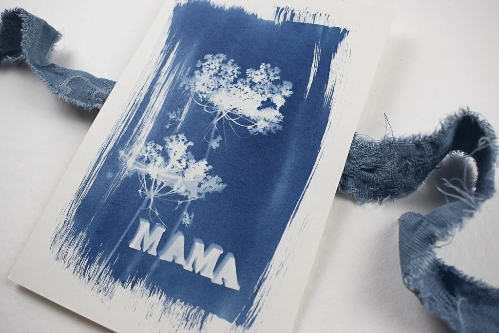 Cyanotype-jackie-partridge-019.jpg