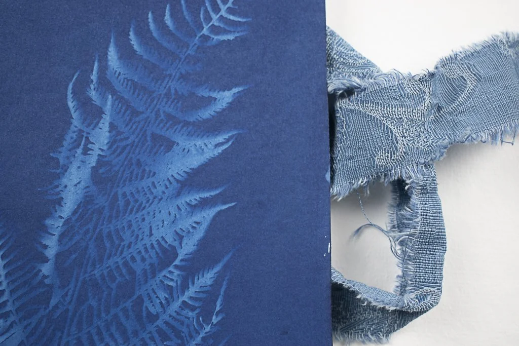 Cyanotype-jackie-partridge-025.jpg