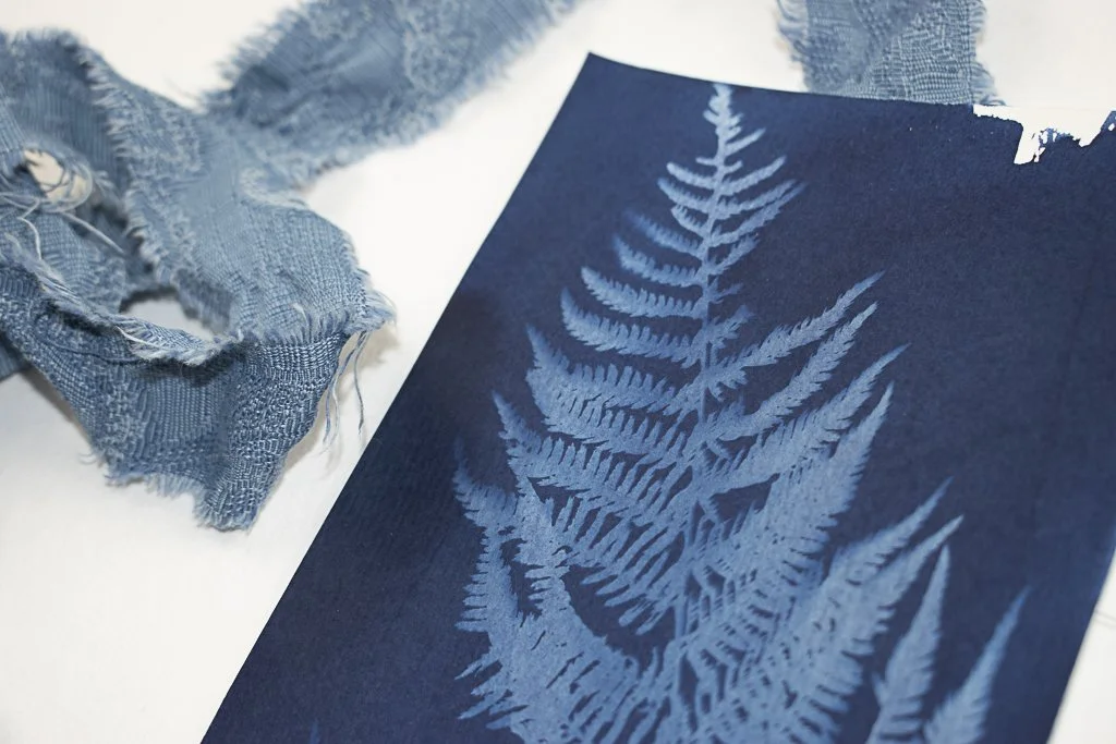 Cyanotype-jackie-partridge-082.jpg