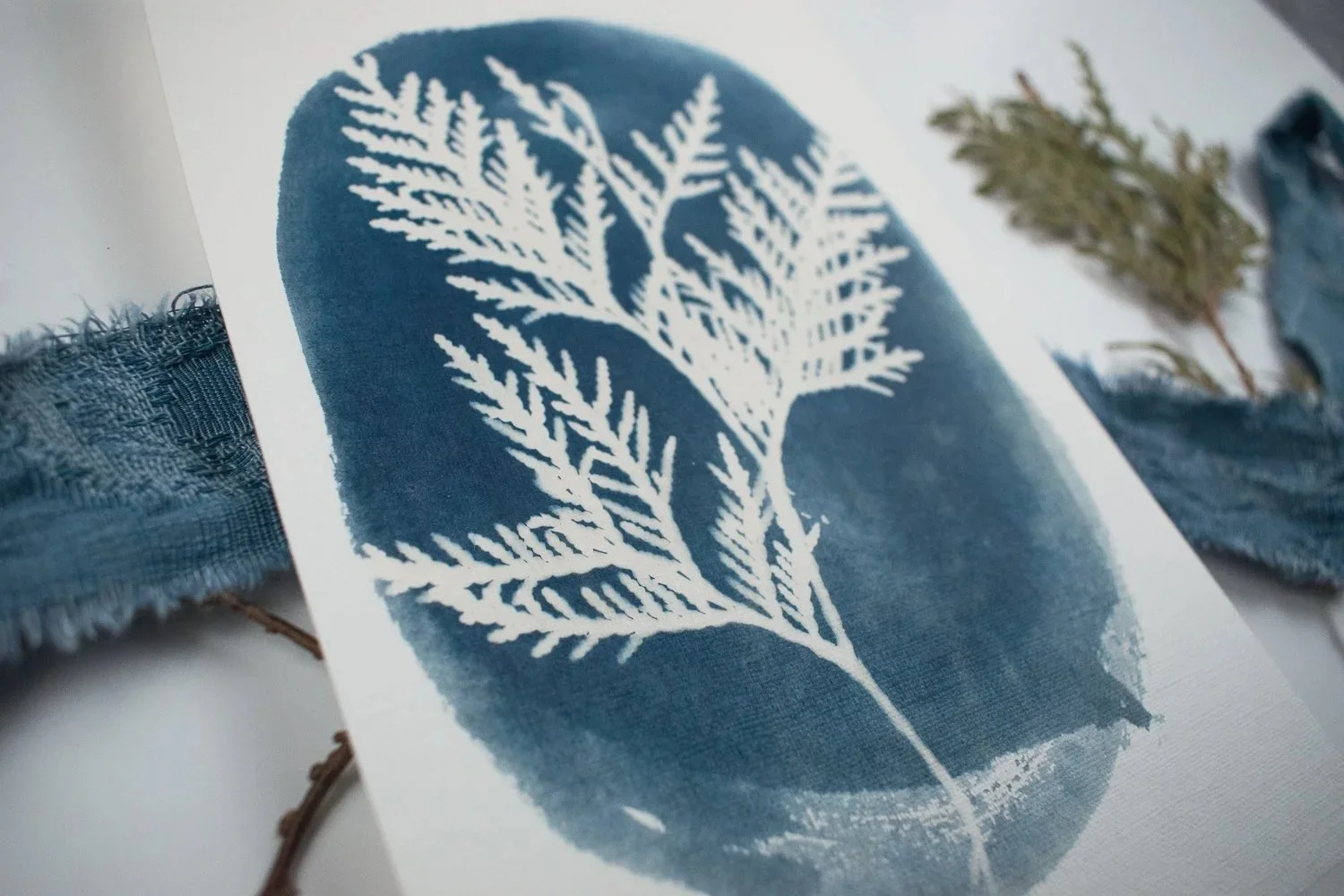cyanotype made with cedar