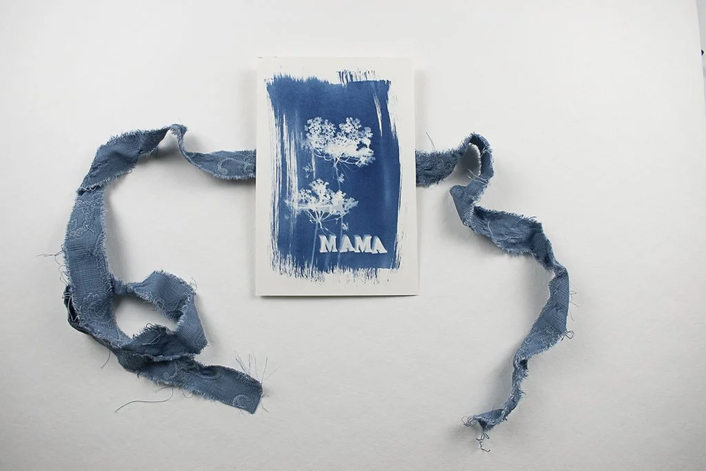 Cyanotype-jackie-partridge-018.jpg