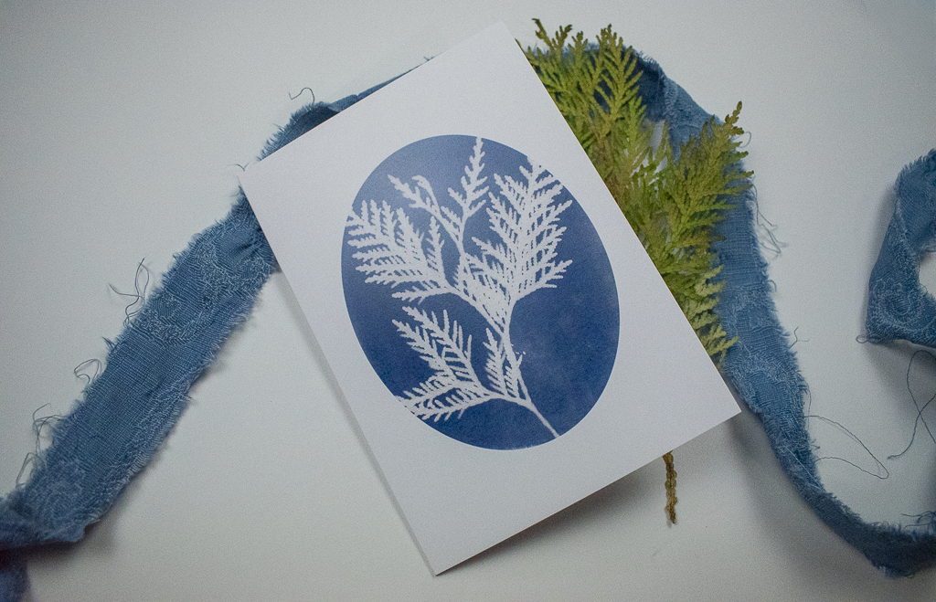 Cedar blue and white cards by jackie partridge