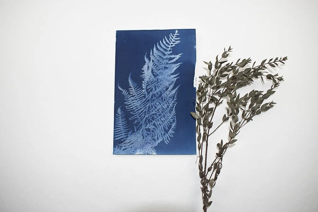 cyanotype of a fern