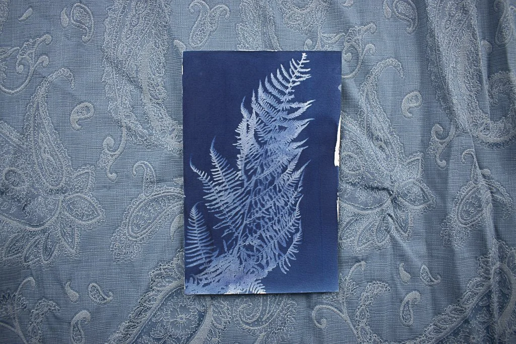 Cyanotype-jackie-partridge-044.jpg