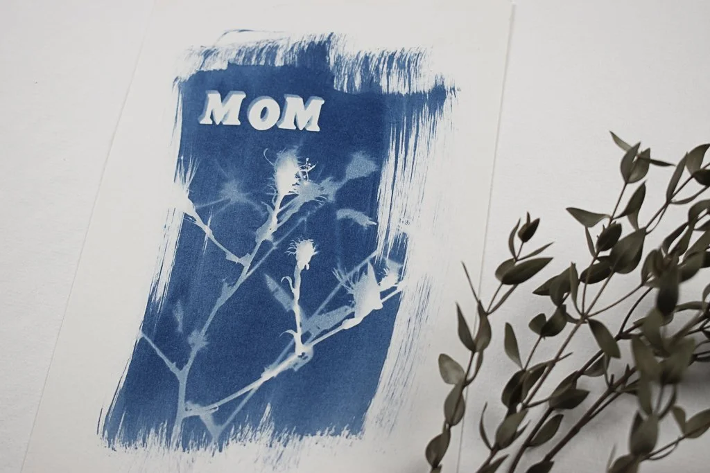 Cyanotype-jackie-partridge-185.jpg