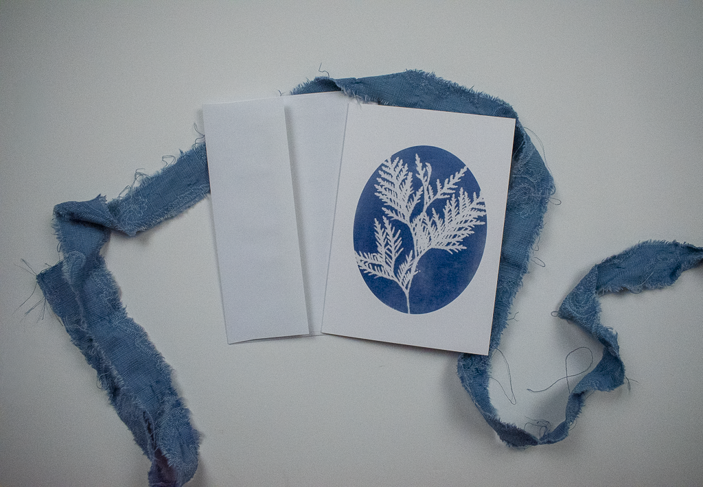 Cedar blue and white cards by jackie partridge