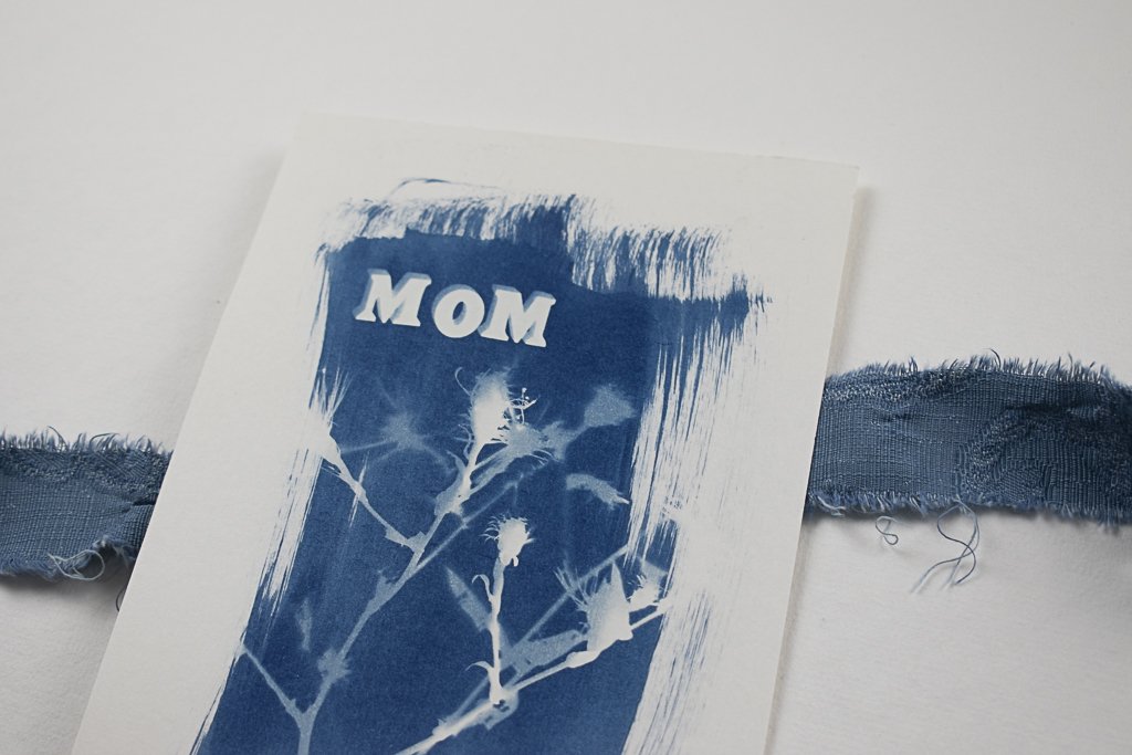 Cyanotype-jackie-partridge-187.jpg