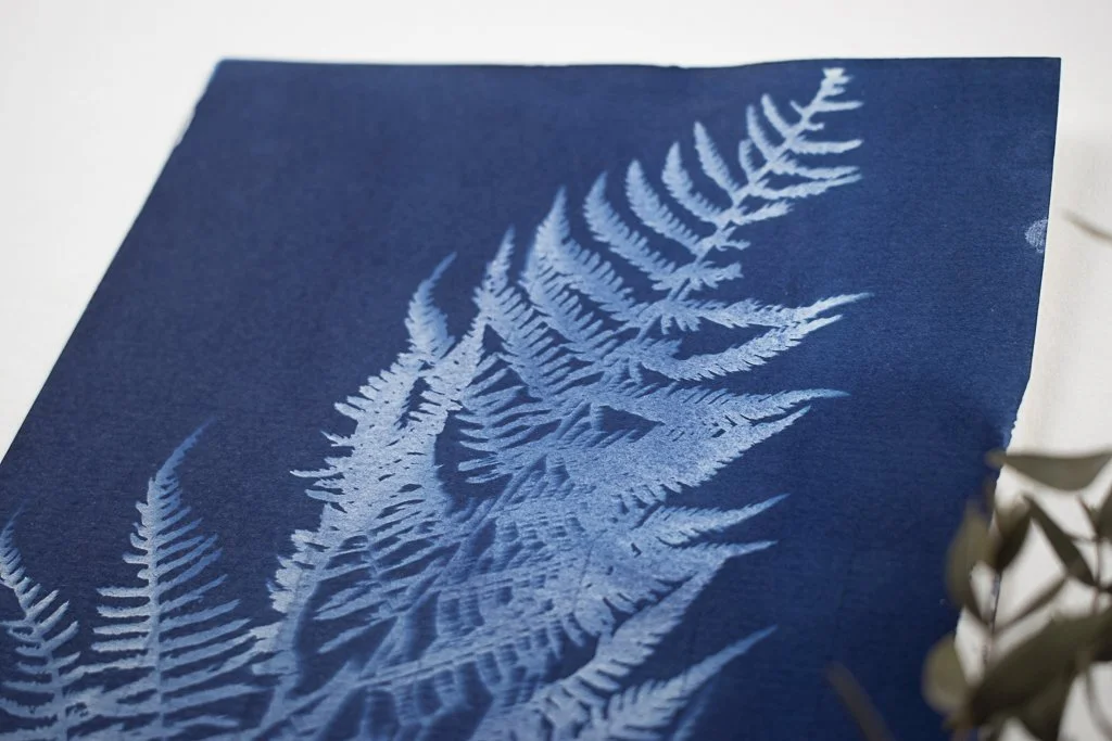 Cyanotype-jackie-partridge-041.jpg