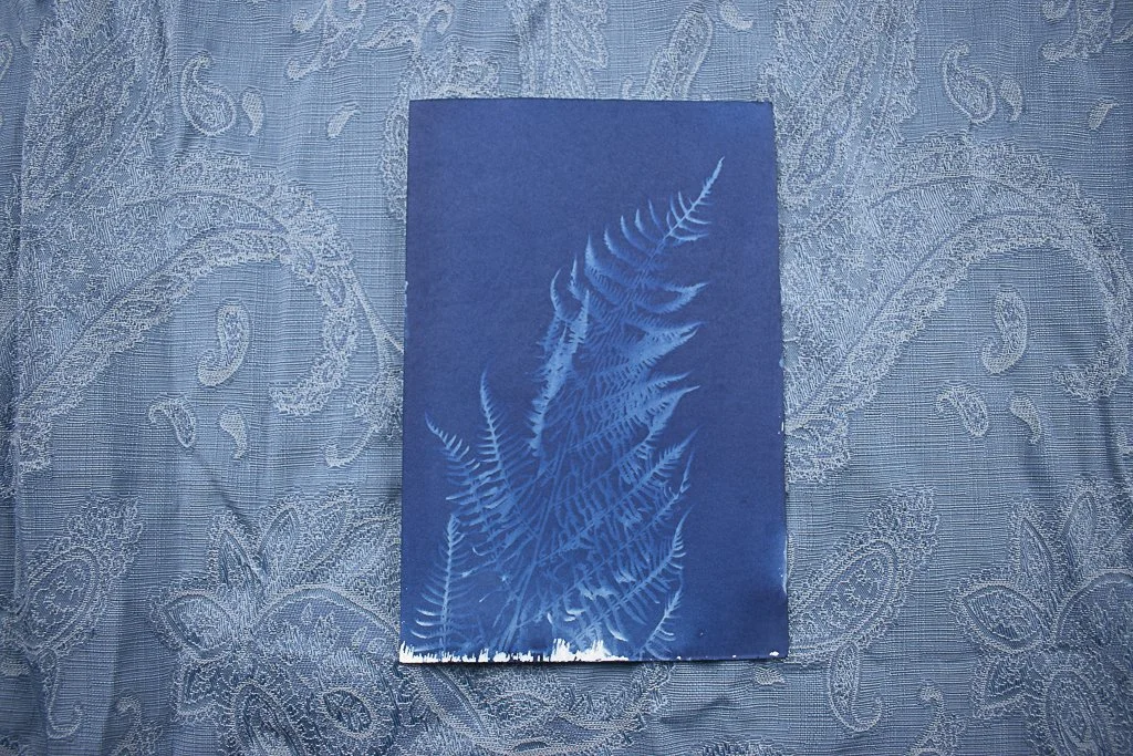 Cyanotype-jackie-partridge-028.jpg