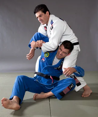 jiu jitsu fighting system