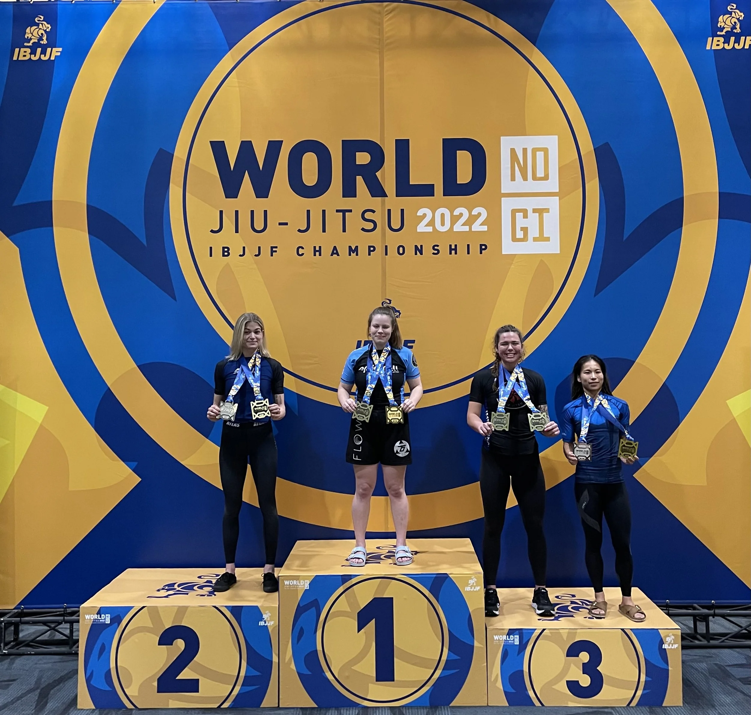 Flow Brazilian JiuJitsu