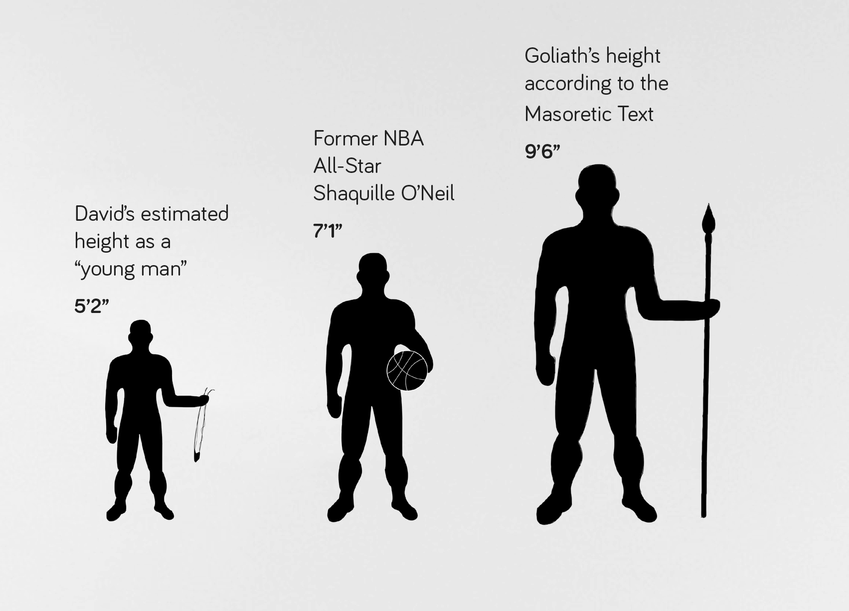 David Size Chart