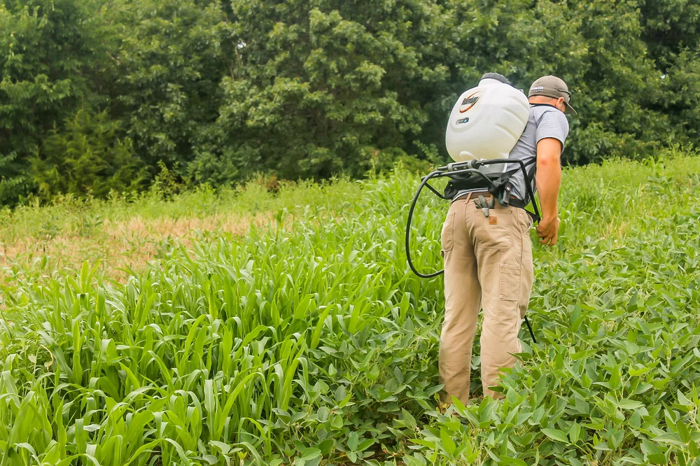 best fertilizer for clover food plots talsmakishaba99