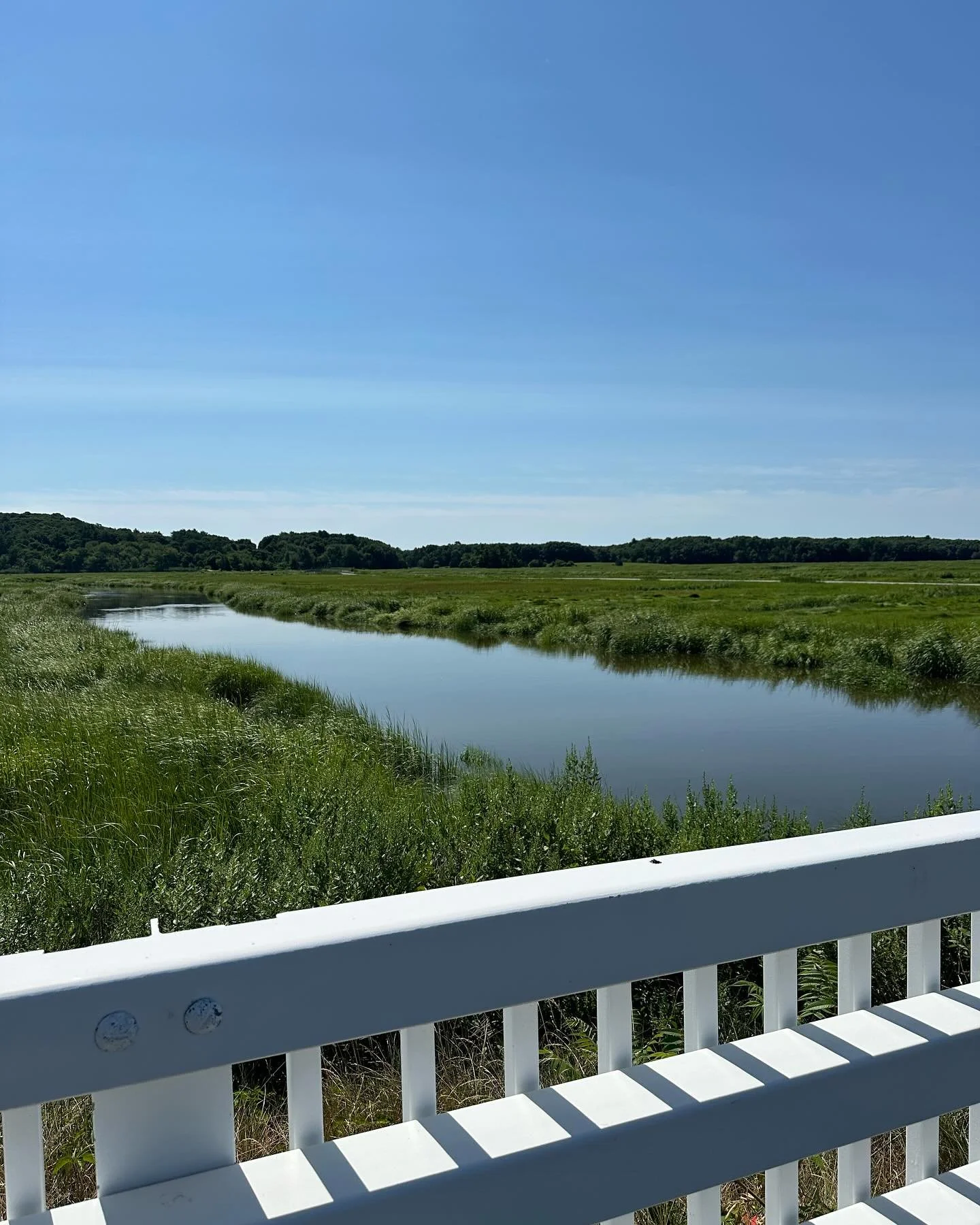 Head to old town Hill for the most spectacular walk around Newbury. The summer grasses have grown so it looks like there are 1000 grinches all snuggled up together. #taketheworld