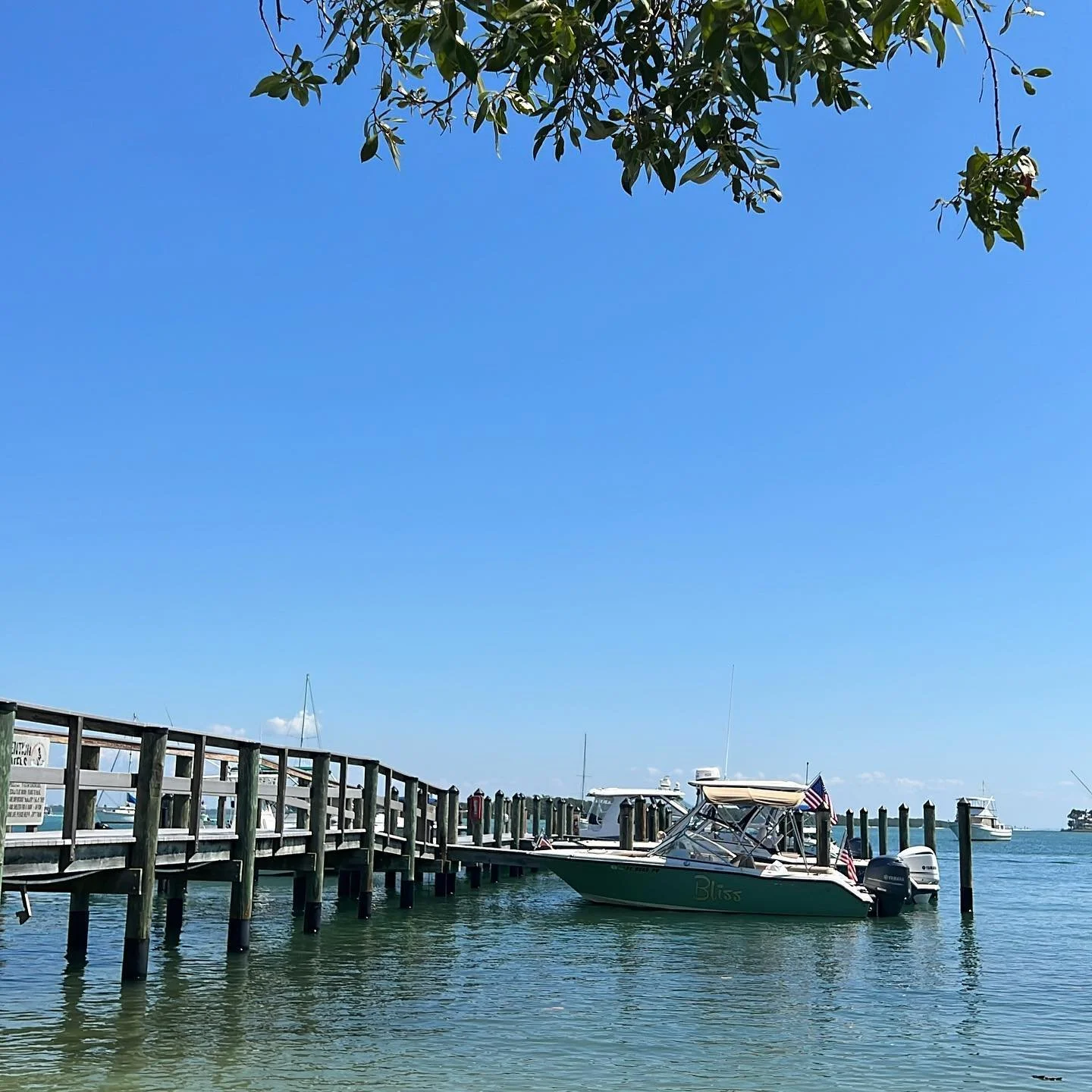 Best dining spot in Sarasota for kids?  Thats would be Mar Vista. Tables on the beach and adults and kids in heaven www.mar vista dining.com
