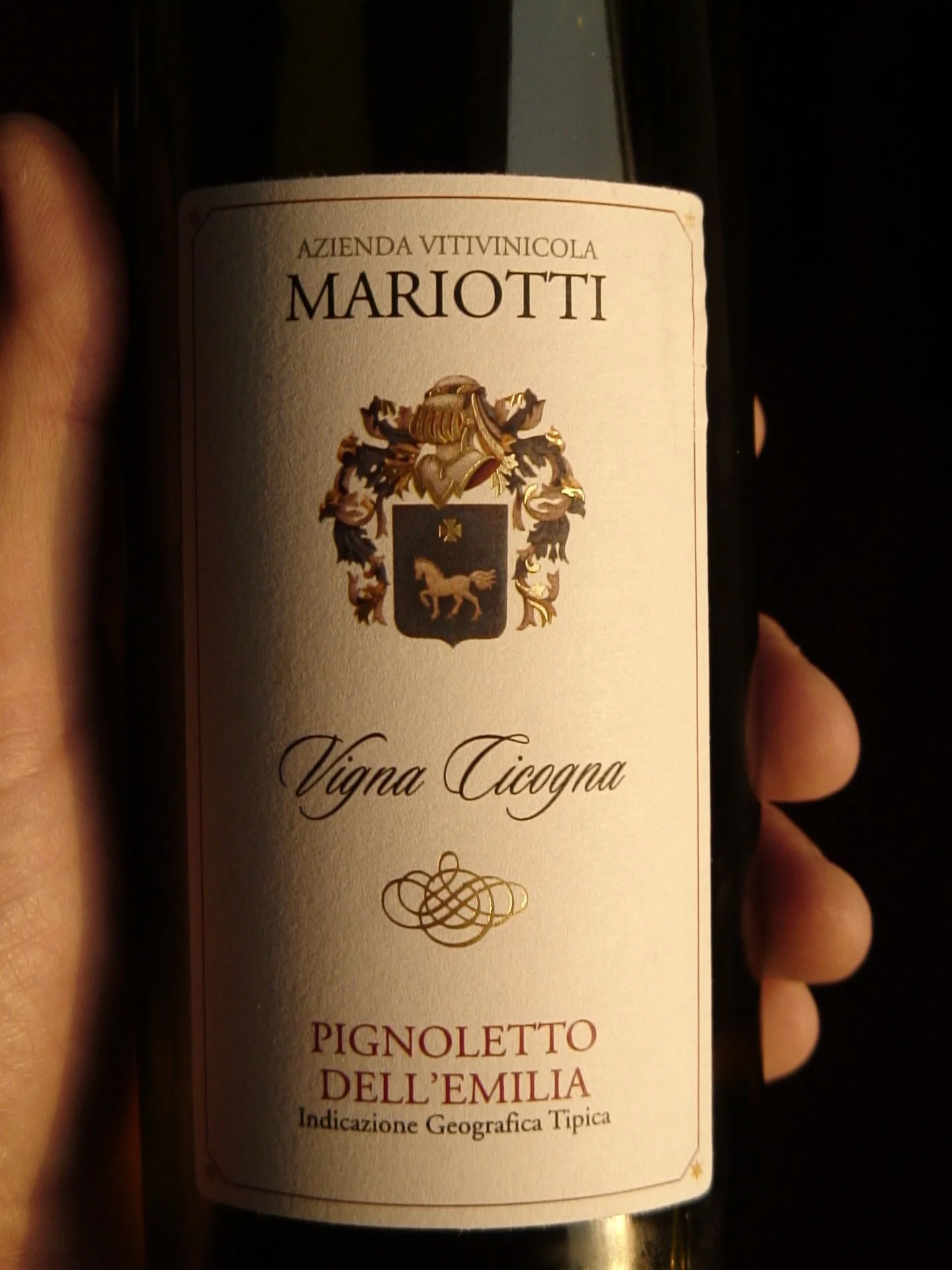 Mariotti-Pignoletto-Villa-Cicogna.jpg