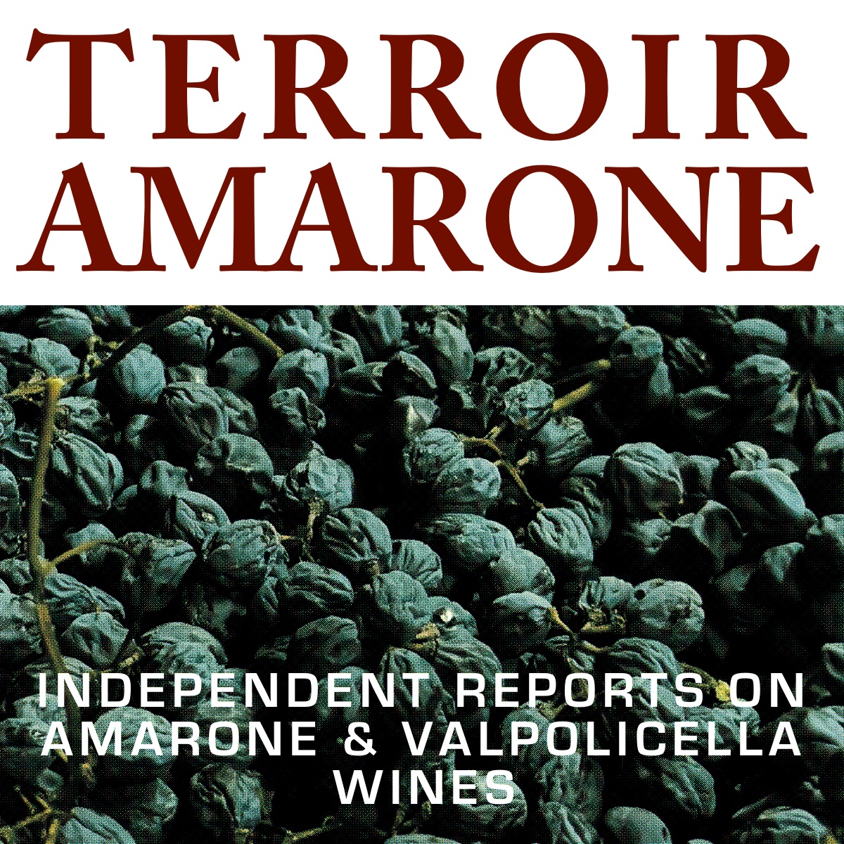 Terroir Amarone